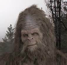 Name:  sasquatch.jpg
Views: 728
Size:  7.2 KB