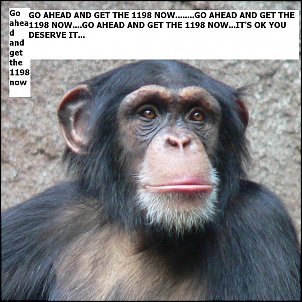 Click image for larger version

Name:	Chimpanzee-Head.jpg
Views:	359
Size:	153.7 KB
ID:	7517