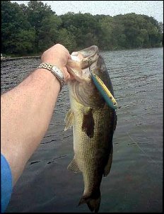 Click image for larger version

Name:	Flint lake bass 5-26-12.jpg
Views:	393
Size:	43.2 KB
ID:	8593