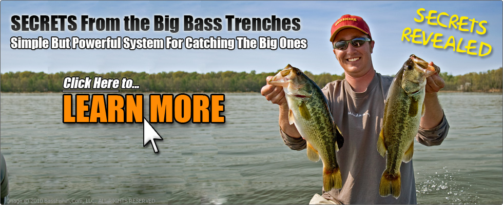 Big Bass Zone Book