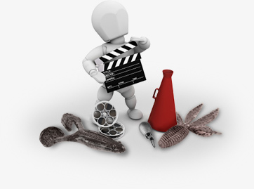 Fishing Videos