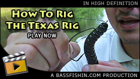 How To Texas Rig