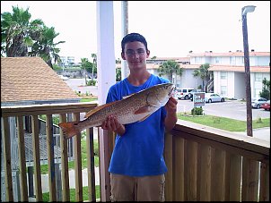 Click image for larger version

Name:	redfish #1.jpg
Views:	379
Size:	208.7 KB
ID:	1064