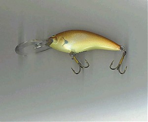 Click image for larger version

Name:	Moonglow crankbait.jpg
Views:	650
Size:	23.3 KB
ID:	244