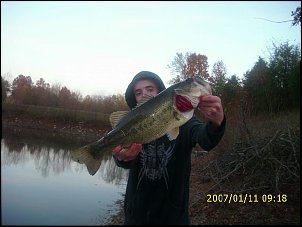 Click image for larger version

Name:	november 10th bass.jpg
Views:	396
Size:	28.7 KB
ID:	2814