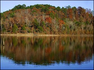 Click image for larger version

Name:	Fall-fishing-002.jpg
Views:	498
Size:	67.4 KB
ID:	2838
