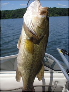 Click image for larger version

Name:	fishing 014.jpg
Views:	478
Size:	347.0 KB
ID:	2893
