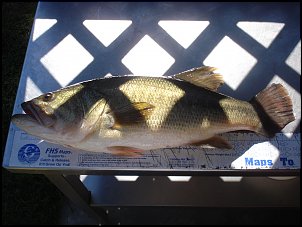 Click image for larger version

Name:	fishing 016.jpg
Views:	780
Size:	374.2 KB
ID:	2944