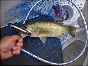 Click image for larger version

Name:	fishing 029.jpg
Views:	404
Size:	499.1 KB
ID:	2982