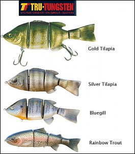 Click image for larger version

Name:	TruTungstenTruLifeSwimbaits.jpg
Views:	471
Size:	114.2 KB
ID:	3557
