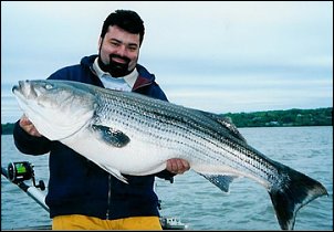Click image for larger version

Name:	bass_striped_coby_steve_2.jpg
Views:	420
Size:	39.1 KB
ID:	3954