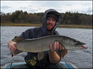Click image for larger version

Name:	northern pike.jpg
Views:	423
Size:	70.0 KB
ID:	4359