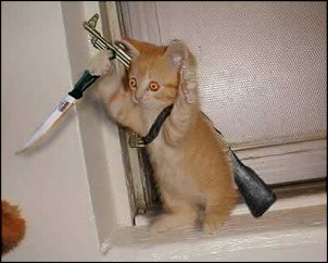 Click image for larger version

Name:	kitty knife.jpg
Views:	436
Size:	70.1 KB
ID:	4684