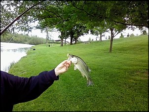 Click image for larger version

Name:	fishing 3.JPG
Views:	363
Size:	419.6 KB
ID:	5117