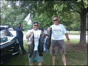 Click image for larger version

Name:	snakeheads big.jpg
Views:	342
Size:	122.7 KB
ID:	5272