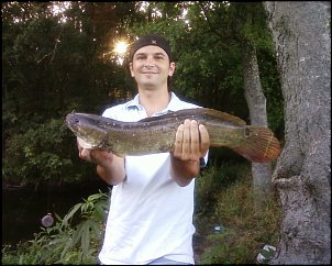 Click image for larger version

Name:	bowfin.jpg
Views:	785
Size:	284.3 KB
ID:	6447