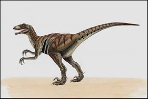 Click image for larger version

Name:	Deinonychus000.jpg
Views:	448
Size:	19.3 KB
ID:	6513