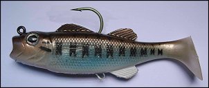 Click image for larger version

Name:	baby bass Real Fish Bait.jpg
Views:	404
Size:	127.3 KB
ID:	6914