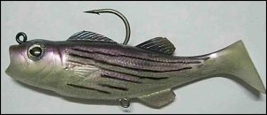 Click image for larger version

Name:	5_inch_baby_bass_-_striper.jpg
Views:	416
Size:	31.3 KB
ID:	6915