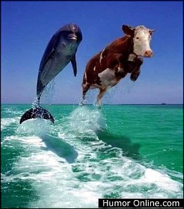 Click image for larger version

Name:	dolphinandcowjumping.jpg
Views:	391
Size:	32.9 KB
ID:	7486
