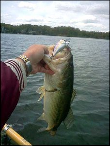 Click image for larger version

Name:	5.3# Bass 4-22-12.jpg
Views:	589
Size:	38.0 KB
ID:	7839