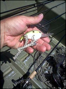 Click image for larger version

Name:	crankbait with anchor rope.jpg
Views:	419
Size:	60.0 KB
ID:	8136