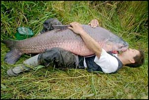 Click image for larger version

Name:	fishlove.jpg
Views:	771
Size:	21.6 KB
ID:	8202