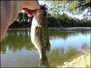 Click image for larger version

Name:	River Bass 2.jpg
Views:	433
Size:	83.0 KB
ID:	861