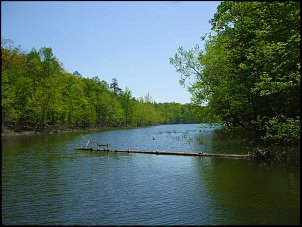 Click image for larger version

Name:	Lake-Ouachita-creek-arm.jpg
Views:	688
Size:	62.0 KB
ID:	8716