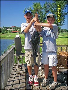 Click image for larger version

Name:	catfish 2 (Large).jpg
Views:	394
Size:	231.8 KB
ID:	967