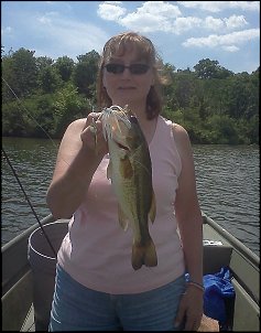 Click image for larger version

Name:	June bass 2.jpg
Views:	551
Size:	390.5 KB
ID:	9067