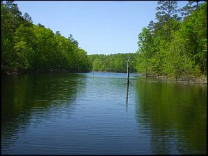 Click image for larger version

Name:	Lake-Ouachita-cove-4-29-13.jpg
Views:	692
Size:	52.6 KB
ID:	8717