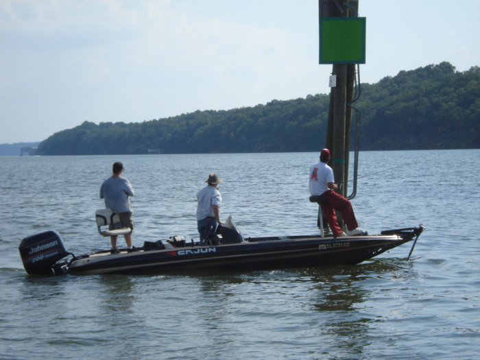 Bama, BB, and kingfish